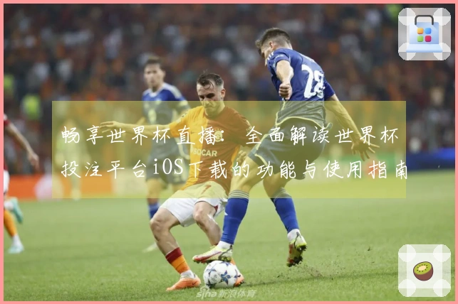 畅享世界杯直播：全面解读世界杯投注平台iOS下载的功能与使用指南