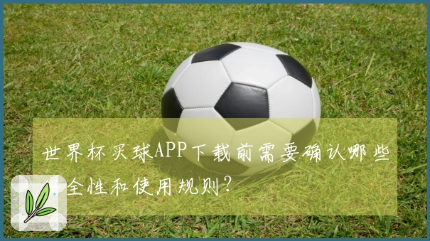 世界杯买球APP下载前需要确认哪些安全性和使用规则？