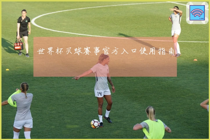 世界杯买球赛事官方入口使用指南