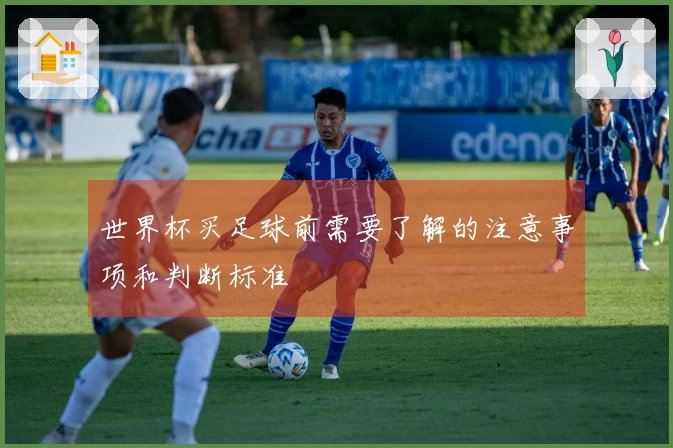 世界杯买足球前需要了解的注意事项和判断标准