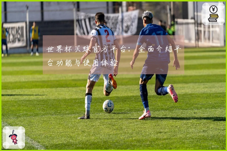 世界杯买球官方平台：全面介绍平台功能与使用体验