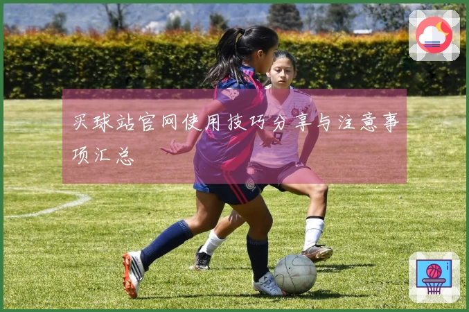 买球站官网使用技巧分享与注意事项汇总
