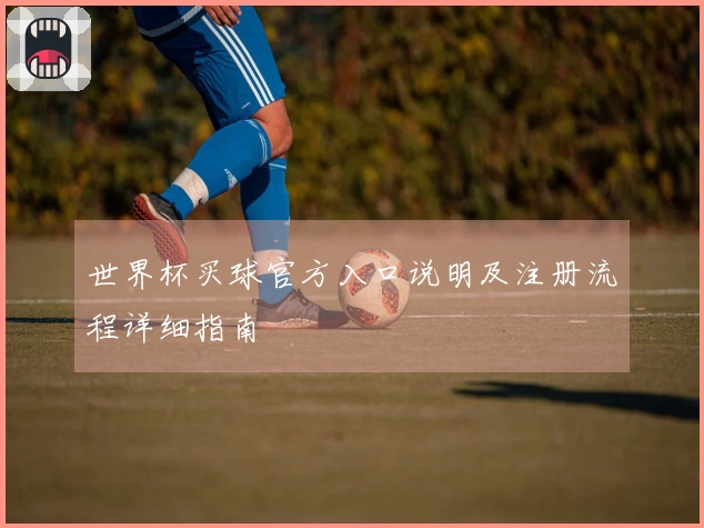 世界杯买球官方入口说明及注册流程详细指南