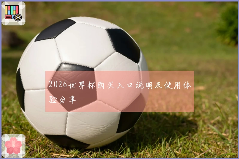 2026世界杯购买入口说明及使用体验分享