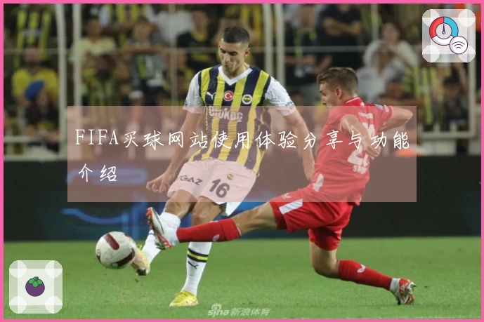 FIFA买球网站使用体验分享与功能介绍