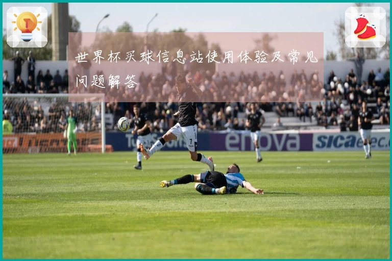 世界杯买球信息站使用体验及常见问题解答