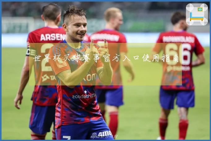 世界杯买球赛事官方入口使用指南