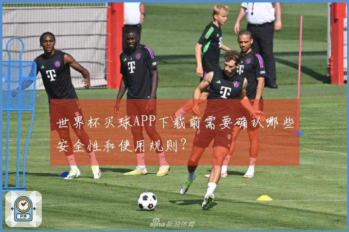 世界杯买球APP下载前需要确认哪些安全性和使用规则？